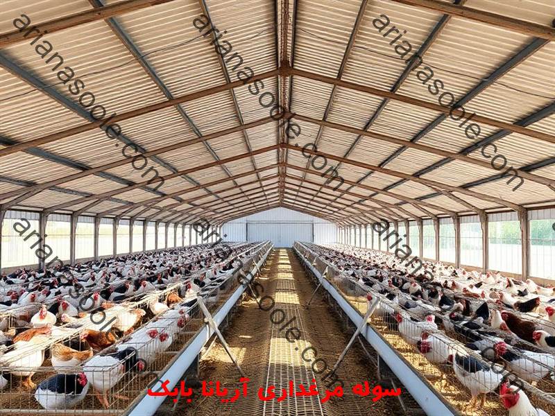 Large metal shed for industrial poultry farming