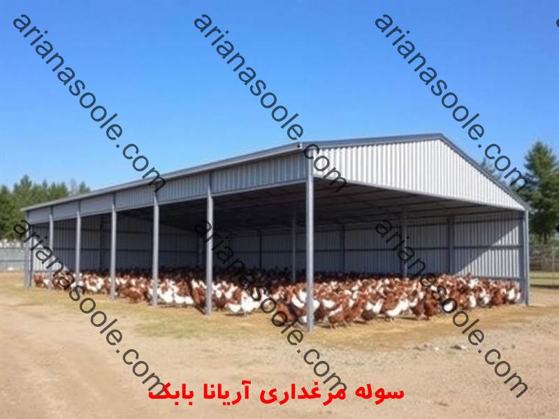 Large metal shed for industrial poultry farming