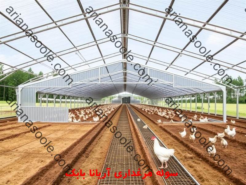 Large metal shed for industrial poultry farming
