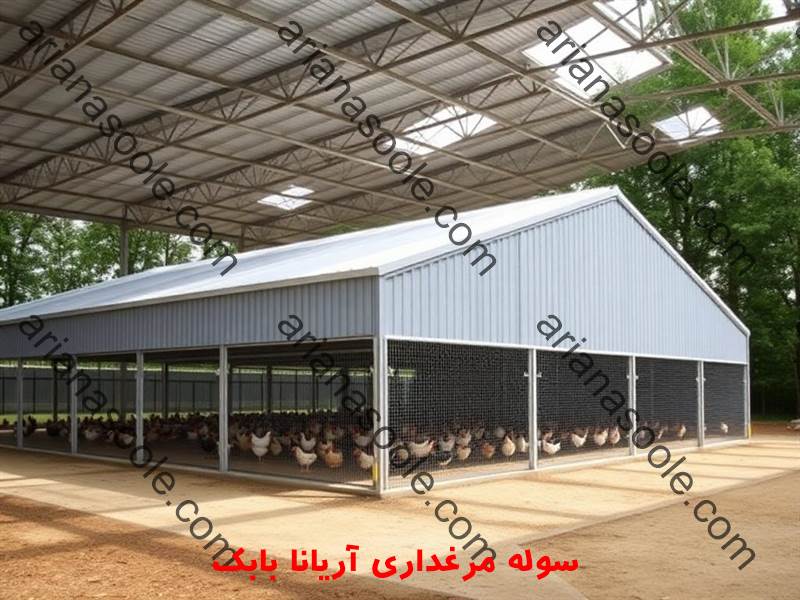 Large metal shed for industrial poultry farming