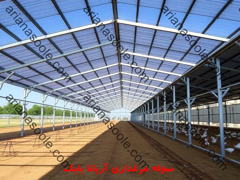 Large metal shed for industrial poultry farming