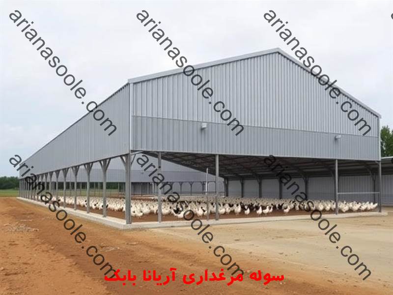 Large metal shed for industrial poultry farming